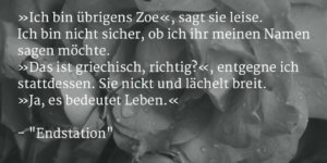 Auszug aus "Endstation", Horror-Kurzgeschichte von Sascha Dinse
