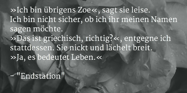 Auszug aus "Endstation", Horror-Kurzgeschichte von Sascha Dinse, 2015