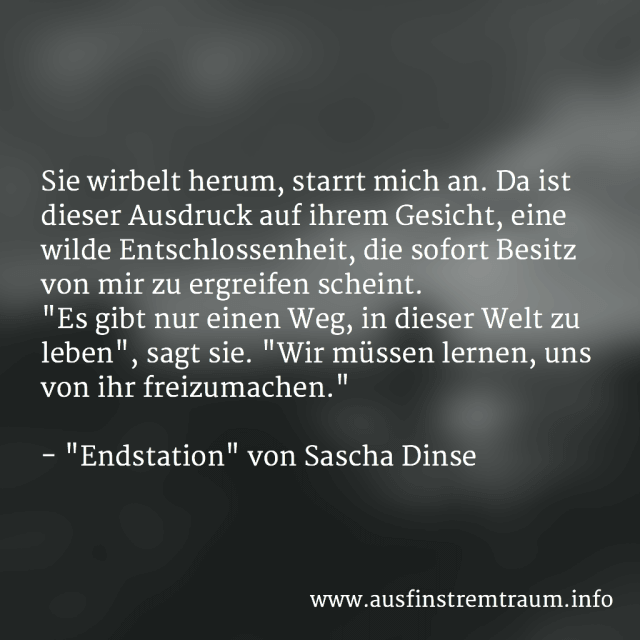 Auszug aus "Endstation" von Sascha Dinse, Horror-Kurzgeschichte